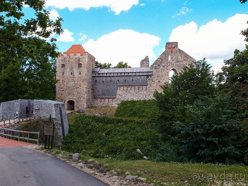 Потерянный среди густых лесов