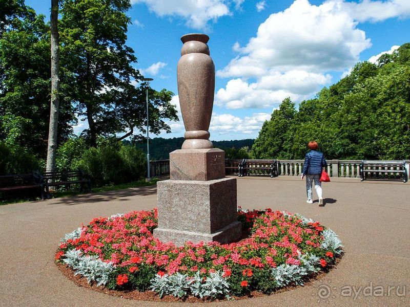 Потерянный среди густых лесов