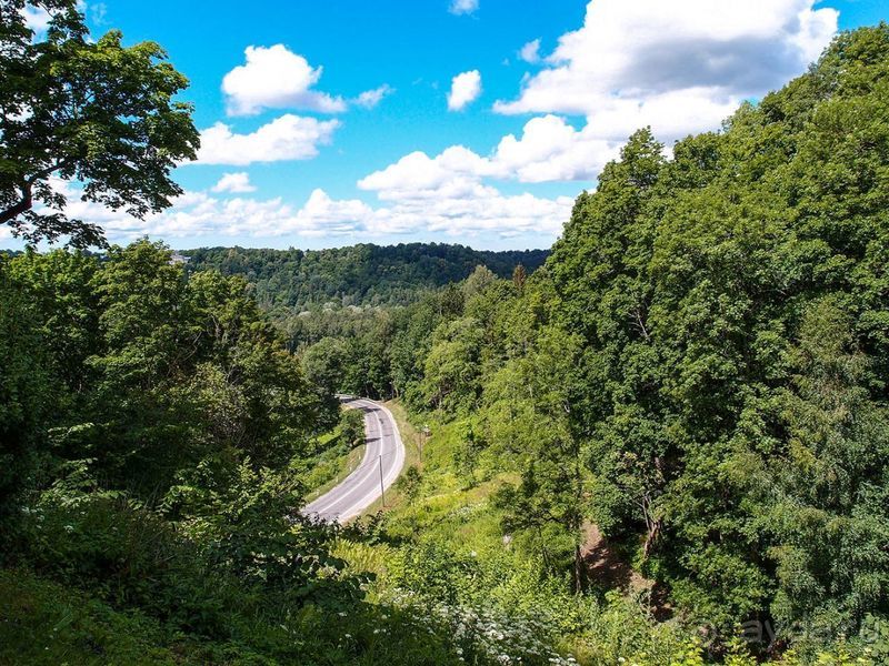 Потерянный среди густых лесов