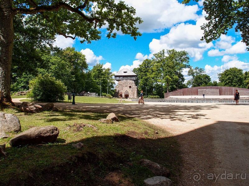 Потерянный среди густых лесов