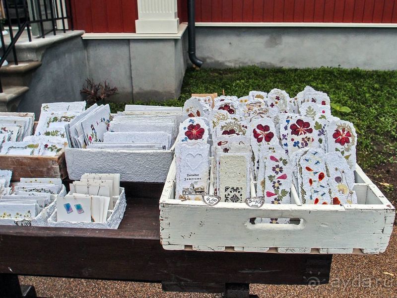 Потерянный среди густых лесов