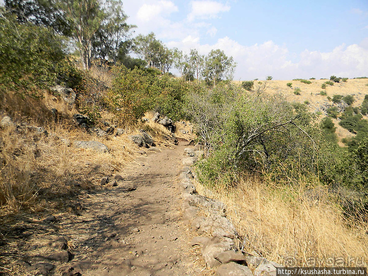 Озеро Мешушим — 10 лет спустя