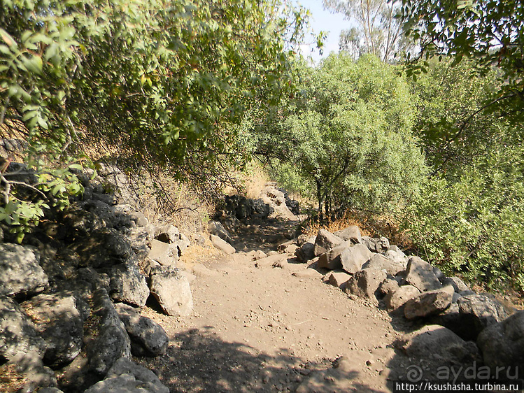 Озеро Мешушим — 10 лет спустя