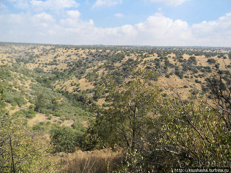 Озеро Мешушим — 10 лет спустя