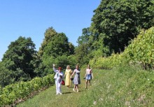 Сабиле. Нескучная провинция