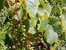 Сабиле. Нескучная провинция