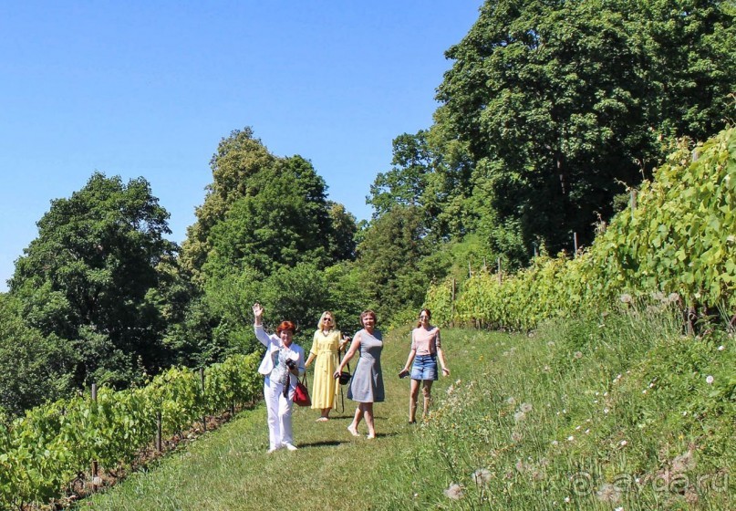 Сабиле. Нескучная провинция