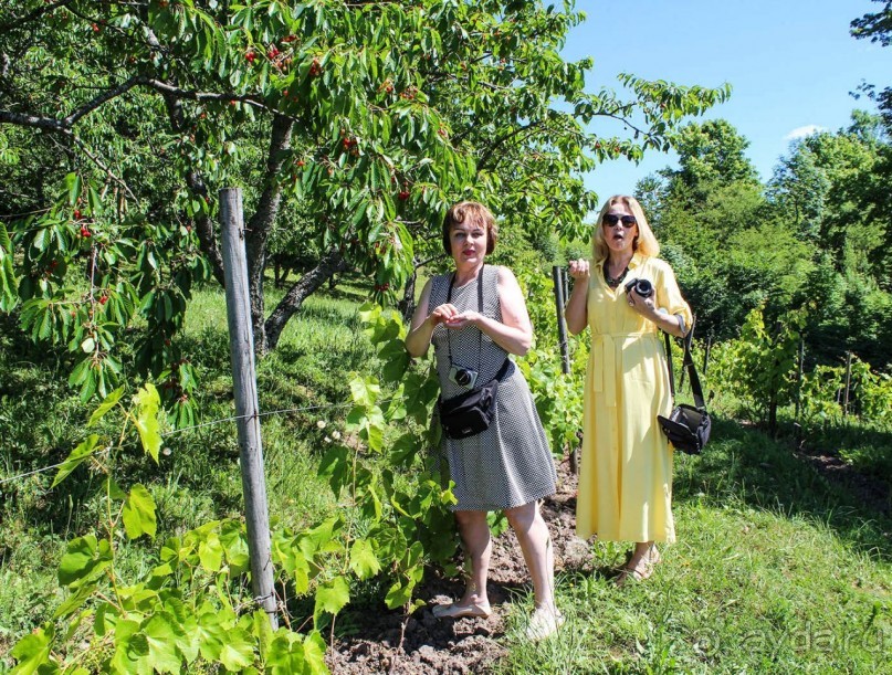 Сабиле. Нескучная провинция