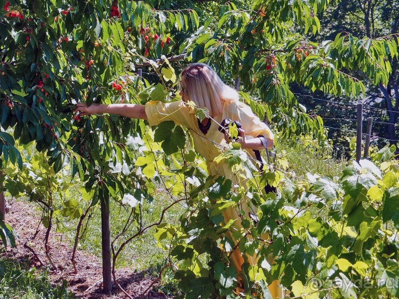 Сабиле. Нескучная провинция