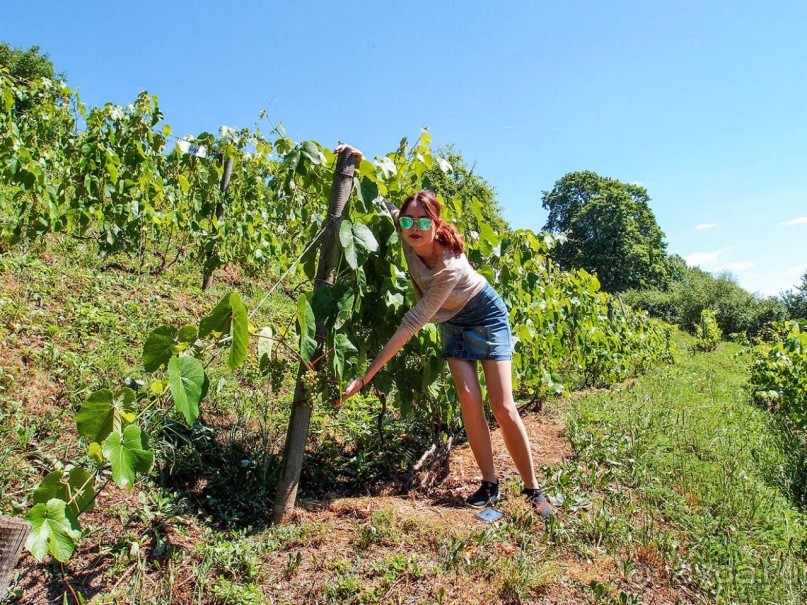 Сабиле. Нескучная провинция