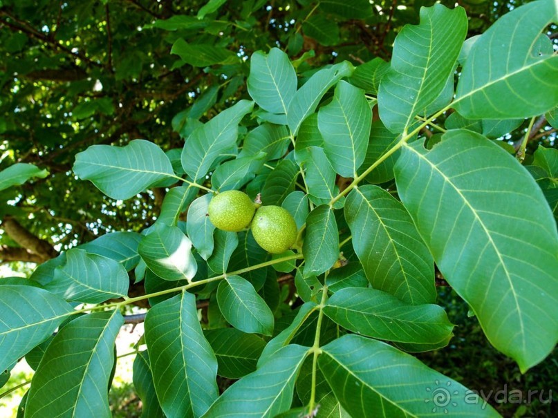 Сабиле. Нескучная провинция