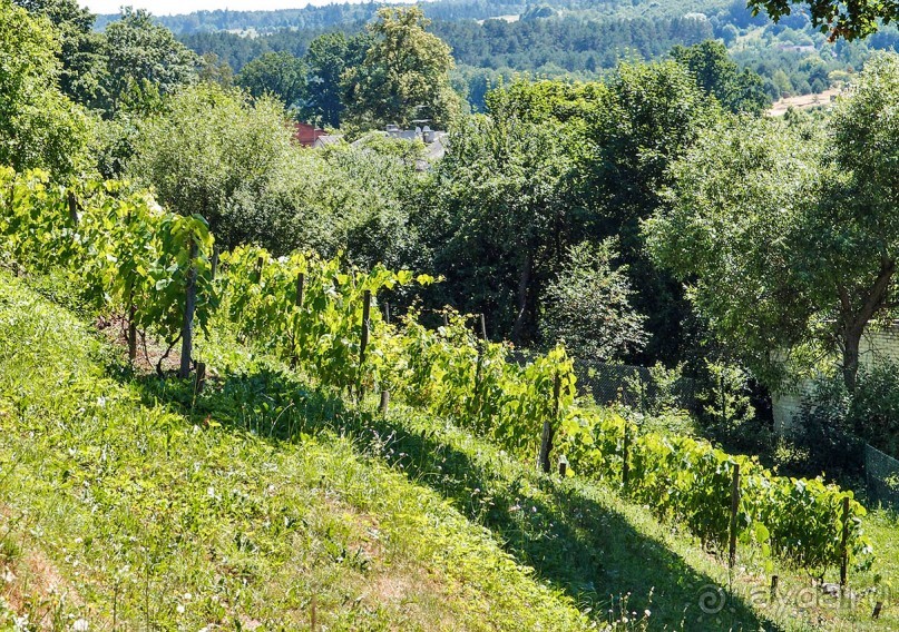 Сабиле. Нескучная провинция