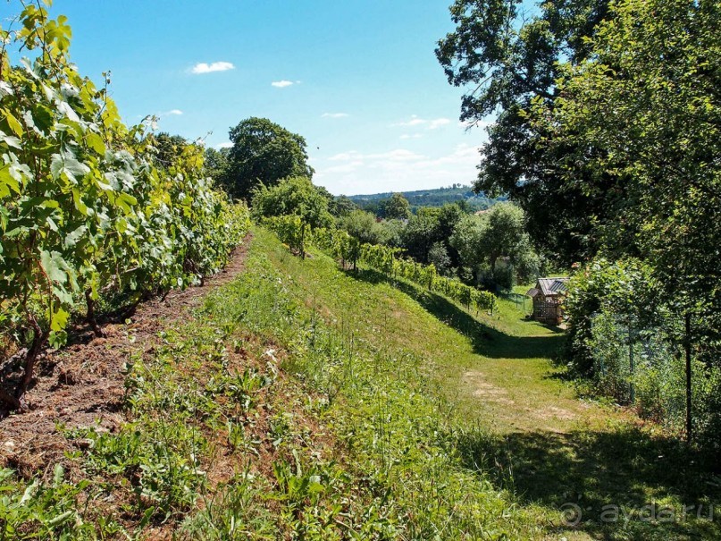 Сабиле. Нескучная провинция