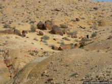 Большой махтеш и каменные деревья