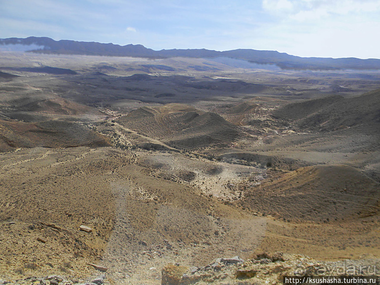 Большой махтеш и каменные деревья