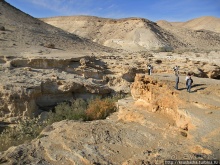 Большой махтеш и каменные деревья