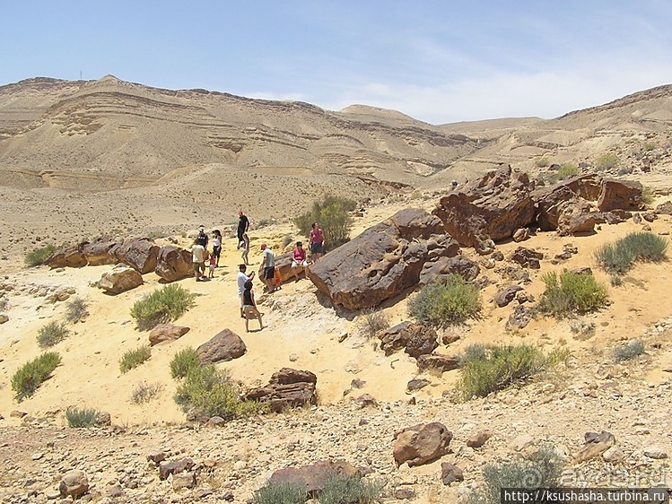 Большой махтеш и каменные деревья