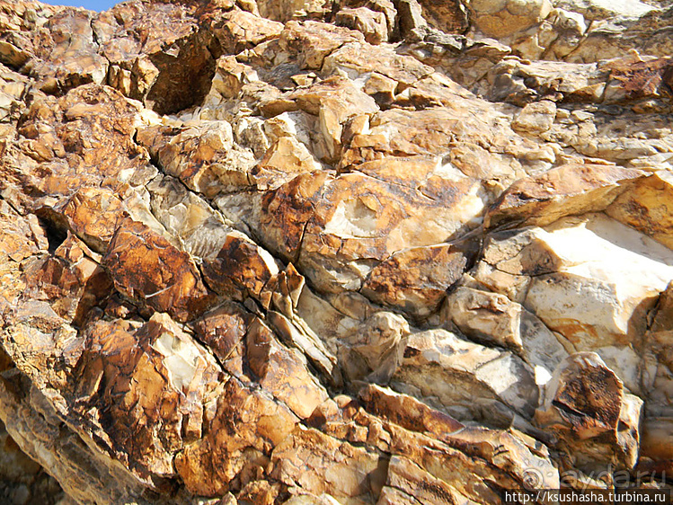 Большой махтеш и каменные деревья