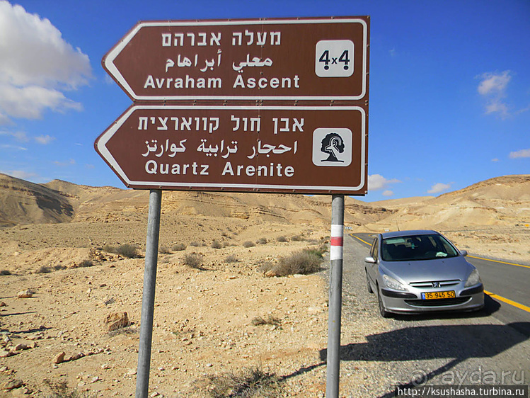 Большой махтеш и каменные деревья