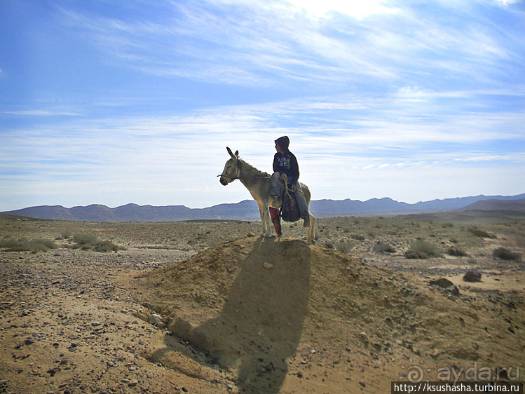 Большой махтеш и каменные деревья