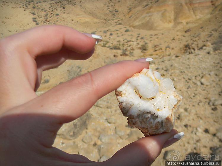Большой махтеш и каменные деревья