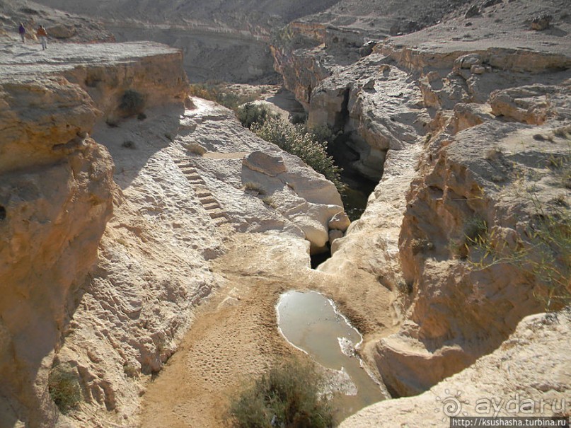 Большой махтеш и каменные деревья