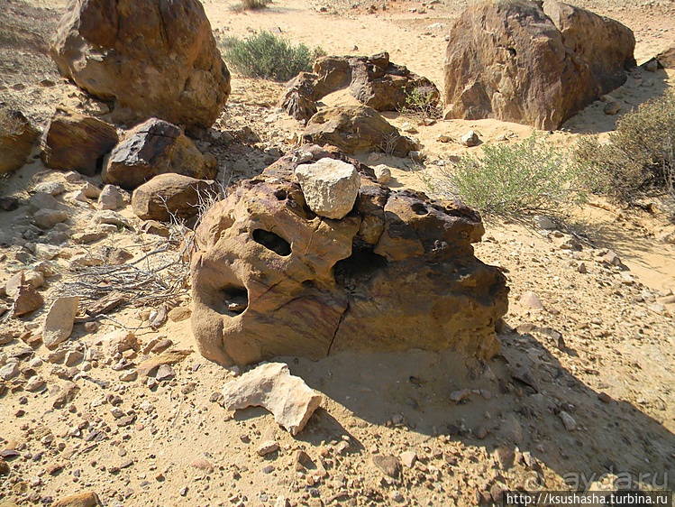 Большой махтеш и каменные деревья