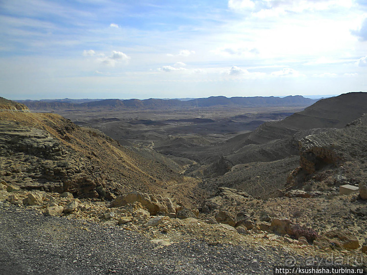 Большой махтеш и каменные деревья