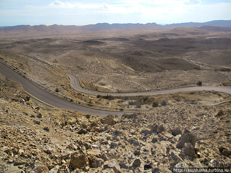 Большой махтеш и каменные деревья