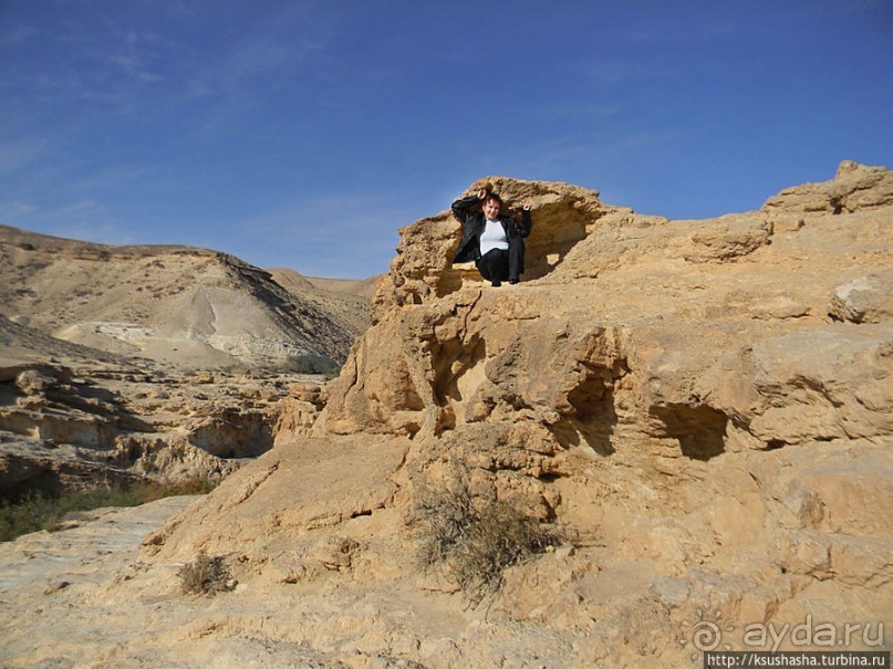 Большой махтеш и каменные деревья