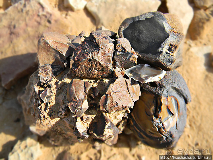 Большой махтеш и каменные деревья