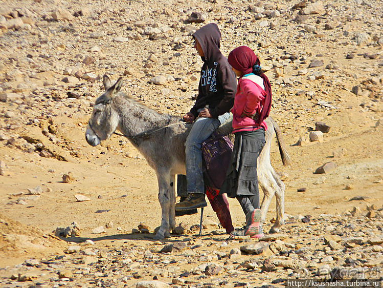 Большой махтеш и каменные деревья