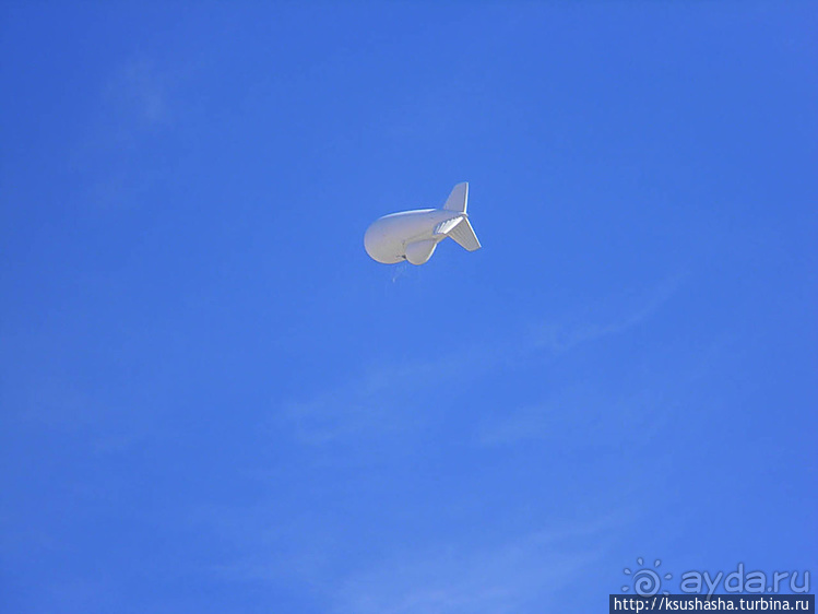 Большой махтеш и каменные деревья