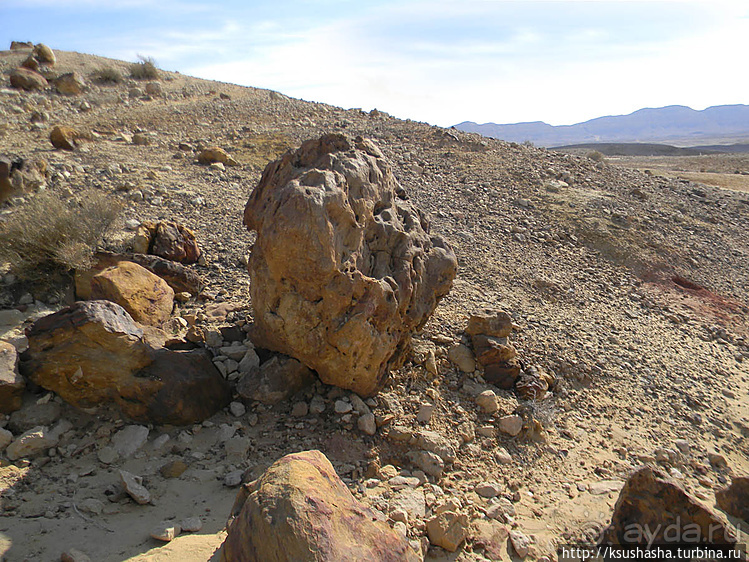 Большой махтеш и каменные деревья