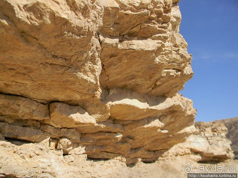 Большой махтеш и каменные деревья