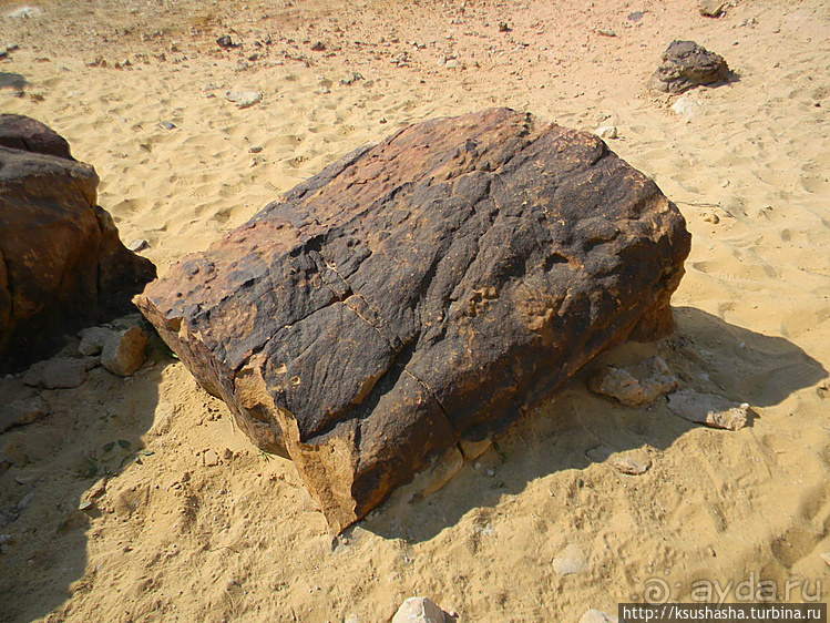 Большой махтеш и каменные деревья