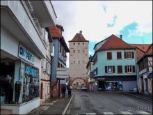 Селеста (ч.2) Ведьмы и Рыцари