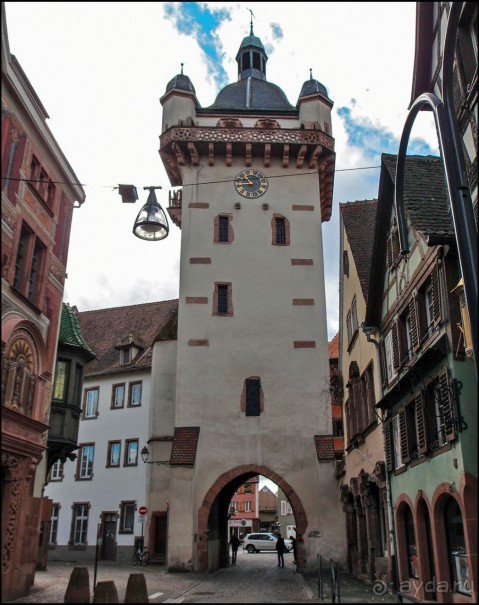 Селеста (ч.2) Ведьмы и Рыцари