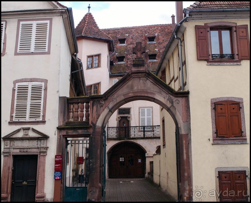 Селеста (ч.2) Ведьмы и Рыцари