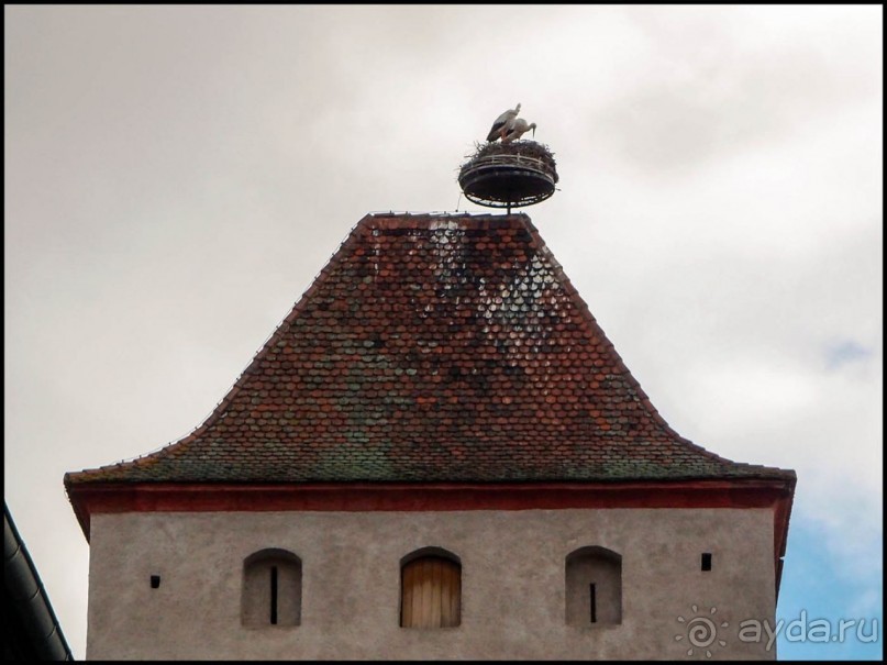 Селеста (ч.2) Ведьмы и Рыцари