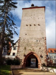 Селеста (ч.2) Ведьмы и Рыцари