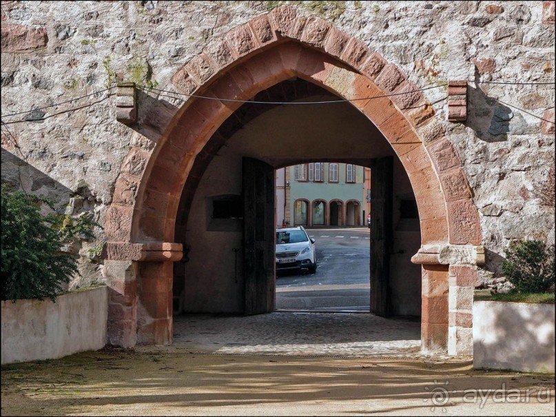 Селеста (ч.2) Ведьмы и Рыцари