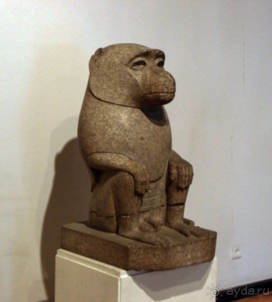 Золото Колхиды