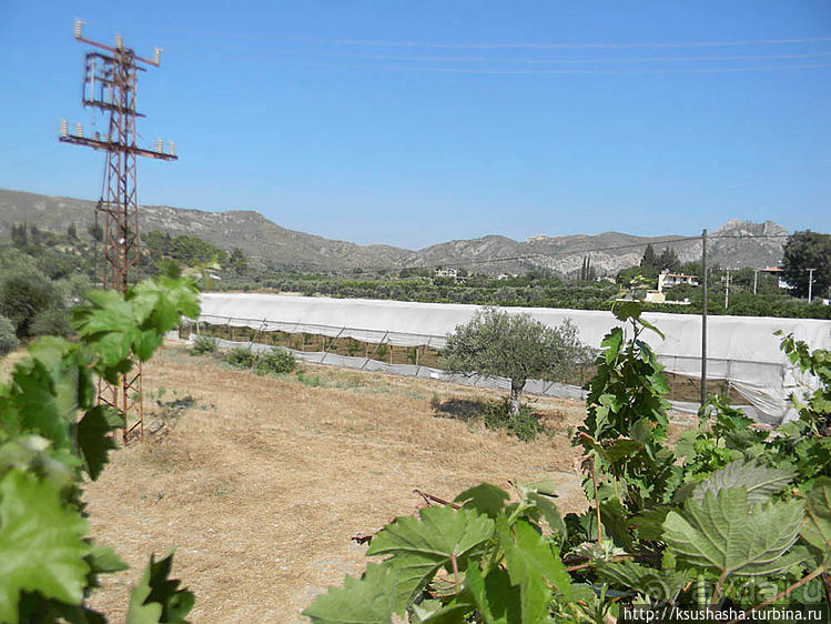 Рафтинг в каньоне Кёпрюлю