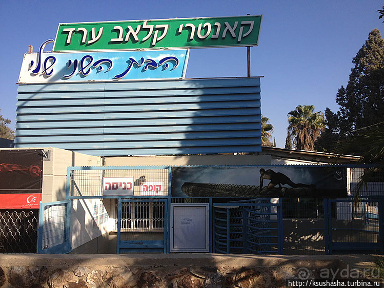 Маленький город в пустыне