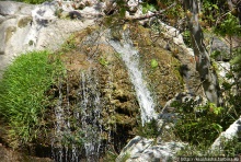 Альбом отзыва "Парк королевы Амалии Ольденбургской"
