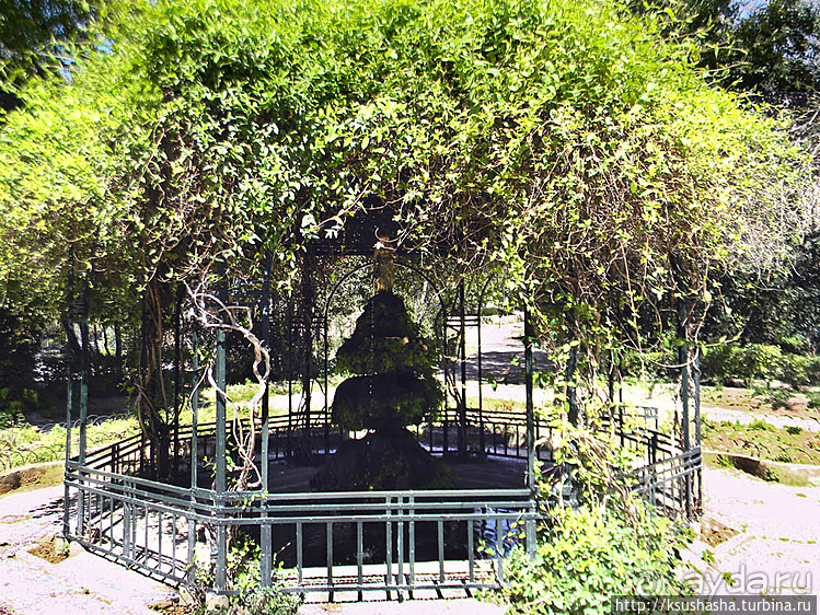 Альбом отзыва "Парк королевы Амалии Ольденбургской"