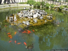 Альбом отзыва "Парк королевы Амалии Ольденбургской"