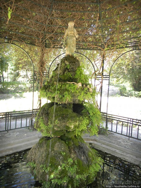 Альбом отзыва "Парк королевы Амалии Ольденбургской"