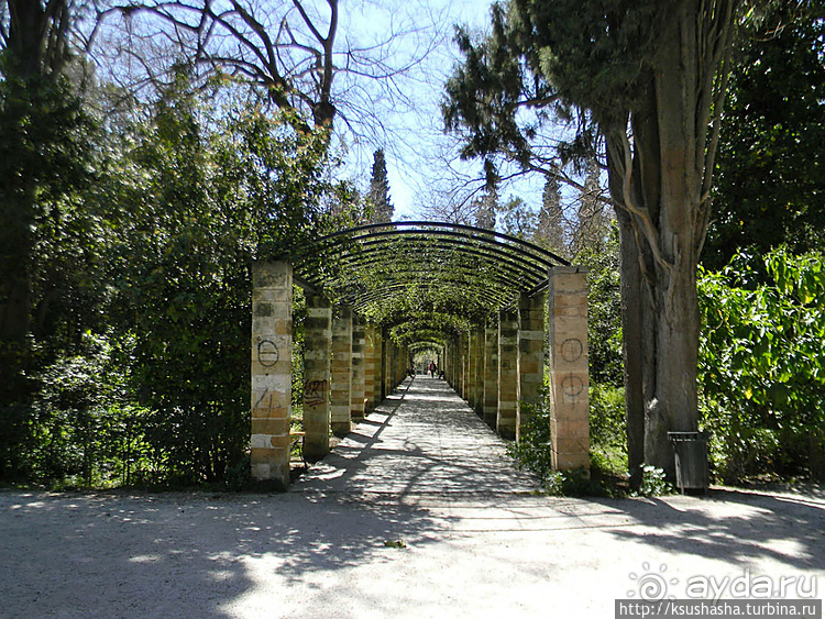 Альбом отзыва "Парк королевы Амалии Ольденбургской"